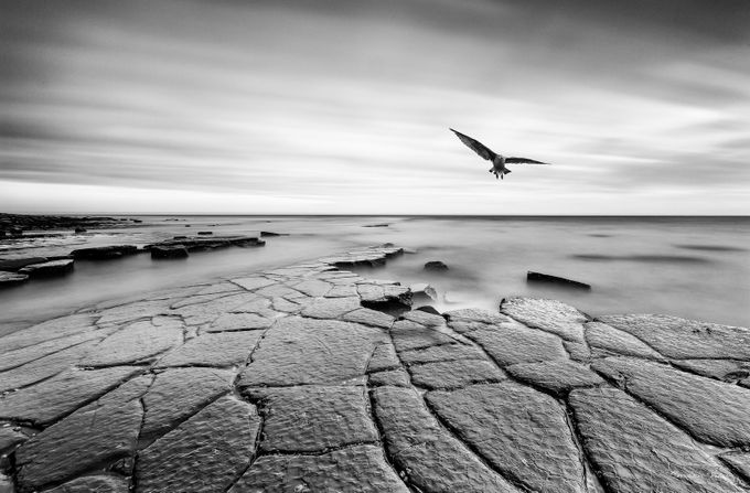 serenity by CmoonView - Monochrome Rule Of Thirds Photo Contest