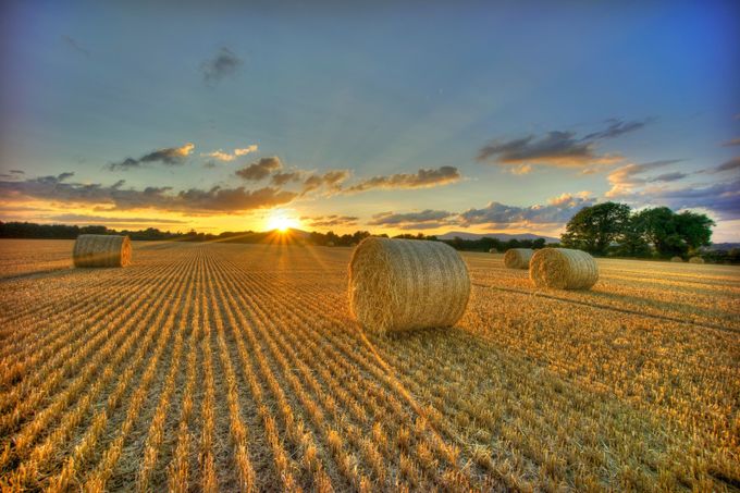 Straw Sunset  by myleslambert - Dry Fields Photo Contest