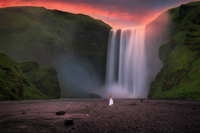 The Proposal by ryanbuchanan - Monthly Pro Vol 16 Photo Contest