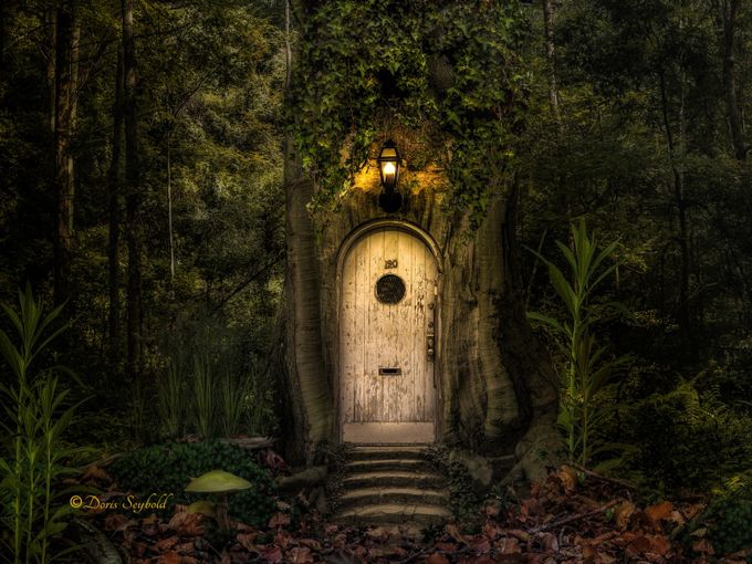 Forest of Fantasy by thochri - A Fantasy World Photo Contest