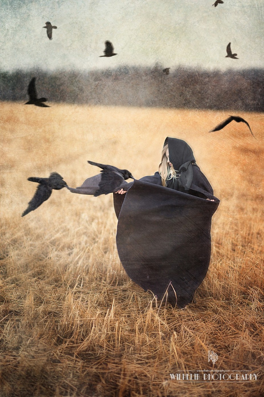 Blackbird 4 by tonyawilhelm - A Fantasy World Photo Contest