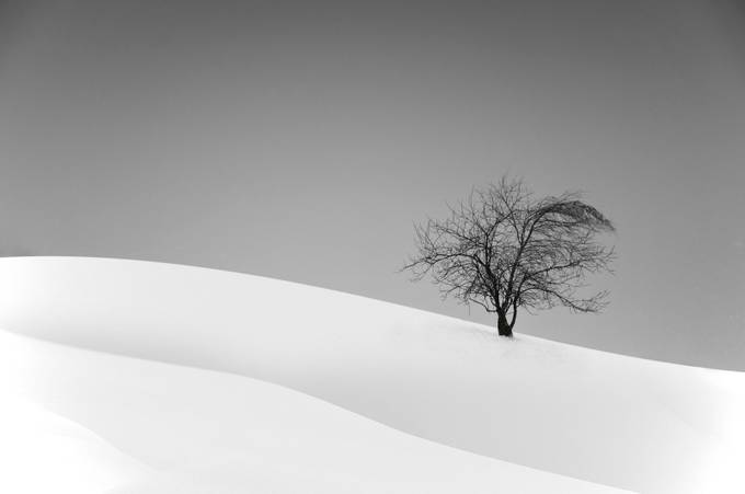 Loneliness by fotograbska - Monochrome Compositions Photo Contest