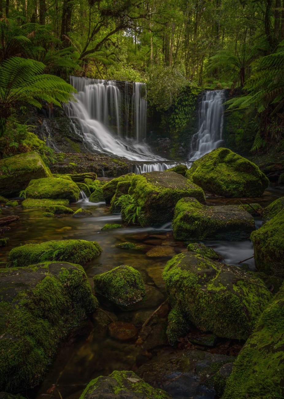Falls &amp; Ferns by jamierichey - Natural Landscapes Photo Contest