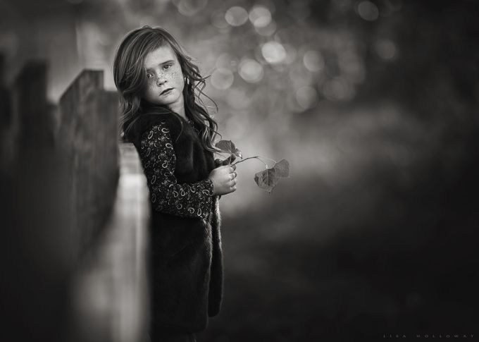 Autumn Mysteries by lisaholloway - Fences Photo Contest