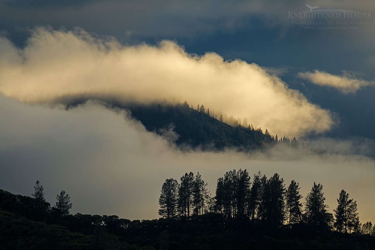 The Art of Photographing Fog, Clouds, and Mist 