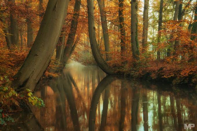 Keep on Dreaming by martinpodt - Fall 2016 Photo Contest