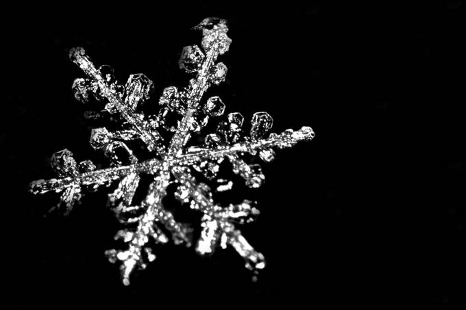 Snowflake by amandabeersphotography - Geometry In Nature Photo Contest