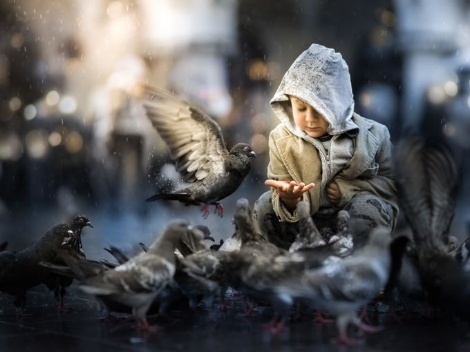 pigeons by Iwona - I Coexist Photo Contest