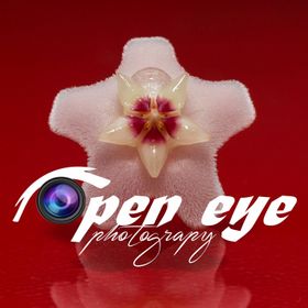 OpenEyePhotography avatar