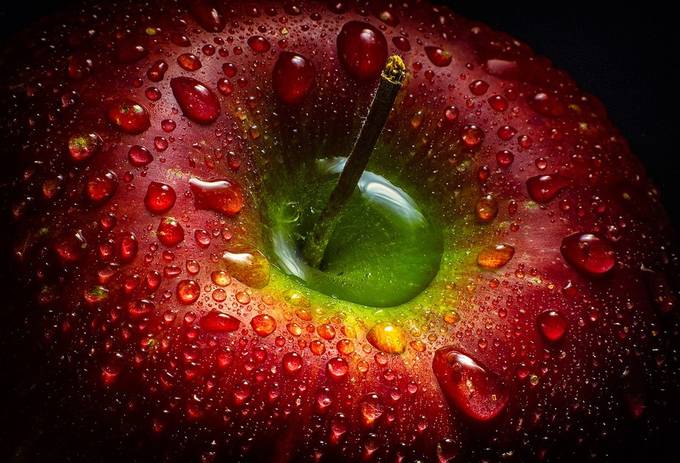 Red apple by aidagri - Still Life Macro Photo Contest