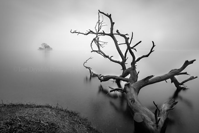 Branching Out by TomDrysdale - Black And White Wow Factor Photo Contest