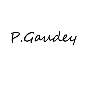PaulGaudey avatar