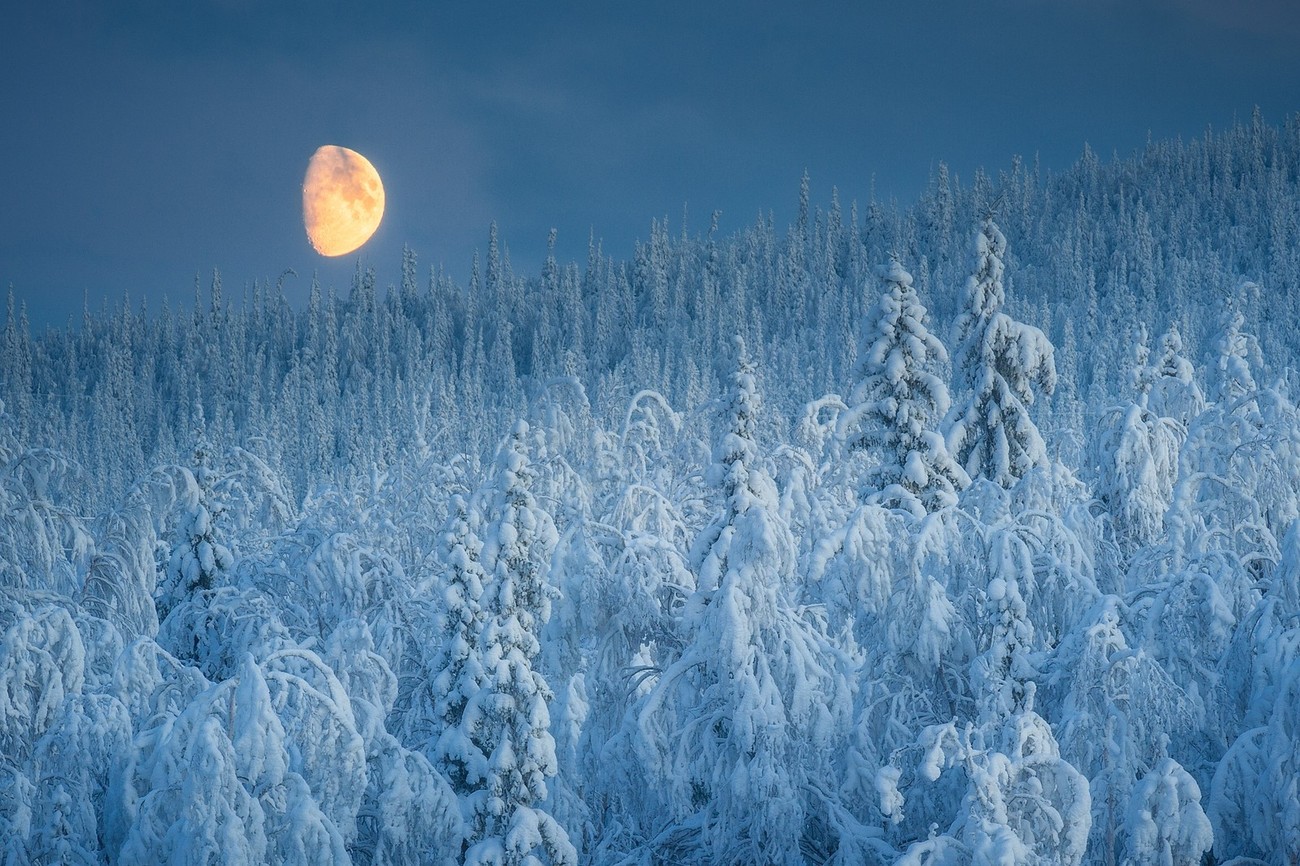 21 Photographers You Should Follow This Winter