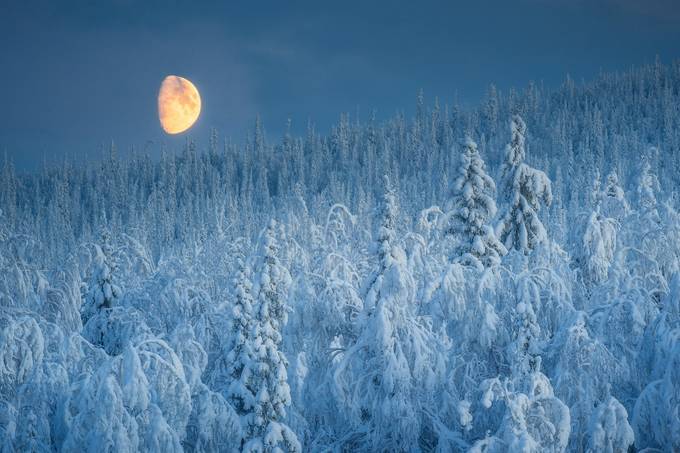 Winter is here by antonagarkov - The Moon Photo Contest