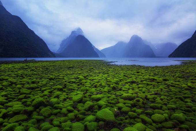 Mitre Peak, Milford | New Zealand by BloodSugar - Around the World Photo Contest
