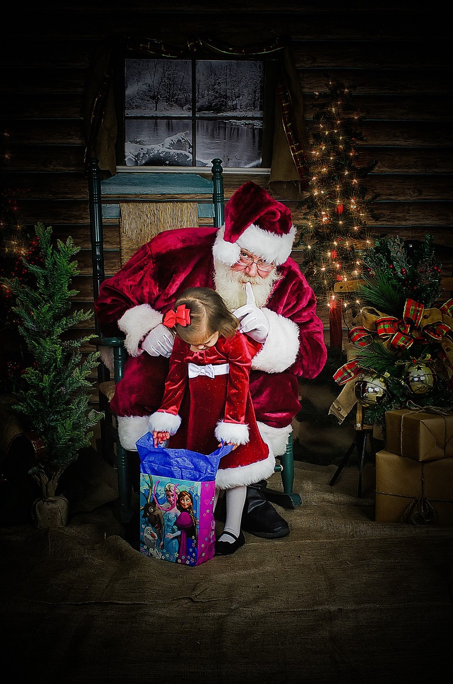 Santa Surprise by LizG - Everything Holiday Photo Contest