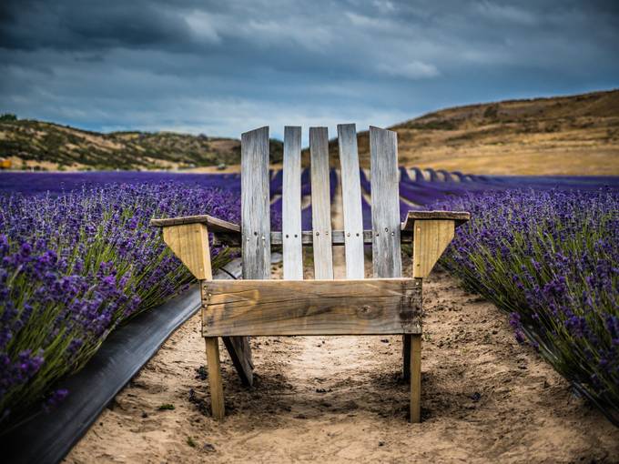 Lavender Chair by jamietoy - HDR Landscapes Photo Contest Explore Series