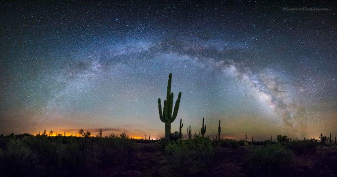 Way over the Saguaro by SaguaroPictures - The Milky Way Photo Contest