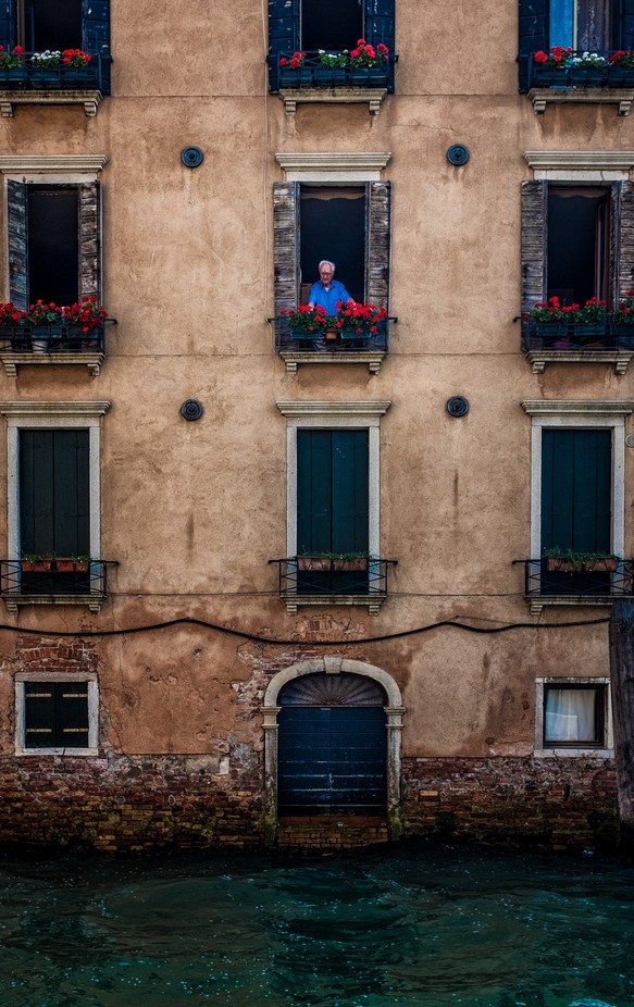 Window Gardener by craigboudreaux - Capture Windows Photo Contest