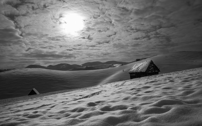 Snow In Black And White Photo Contest Winners