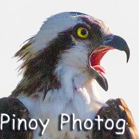 pinoyphotog avatar