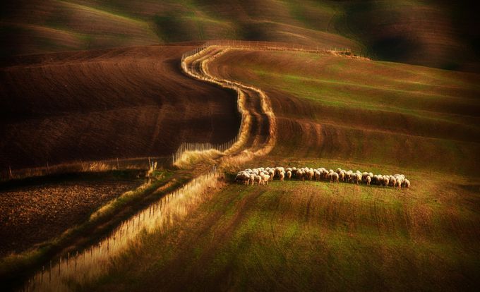 Crossing-the-fields by petersvoboda - Country Roads Photo Contest