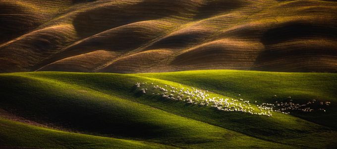 Nature And Patterns Photo Contest Winners