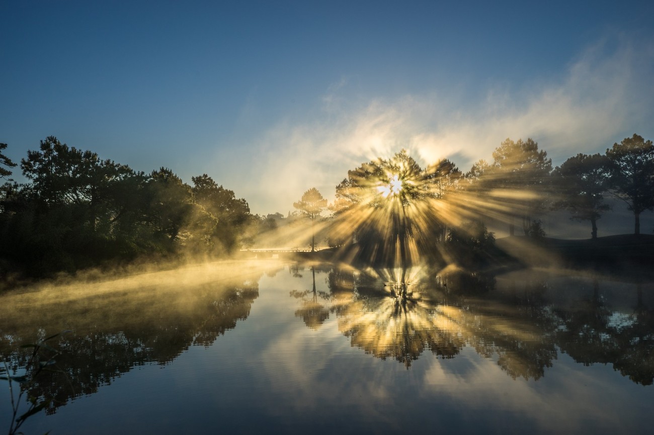 Seeking Light In Nature Photo Contest Winners