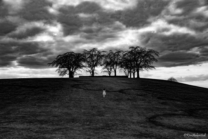 Up the hill by KimAnkerstedt - Tree Silhouettes Photo Contest