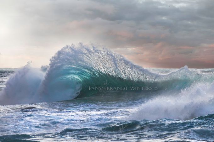 Wave1 by pansybrandtwinters - Seascapes Photo Contest