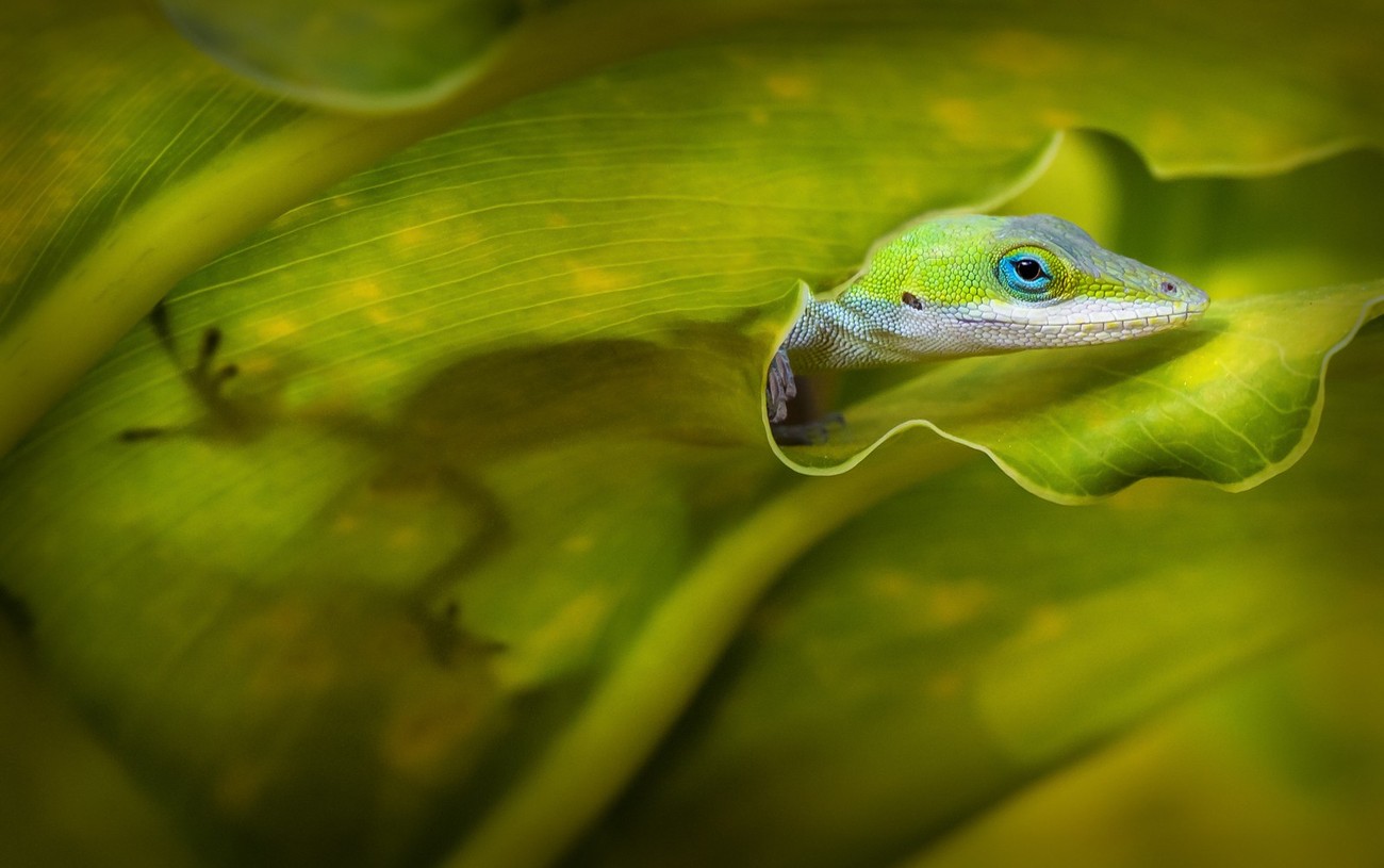 22+ Amazing Photos Showing Depth In Nature That Will Inspire You
