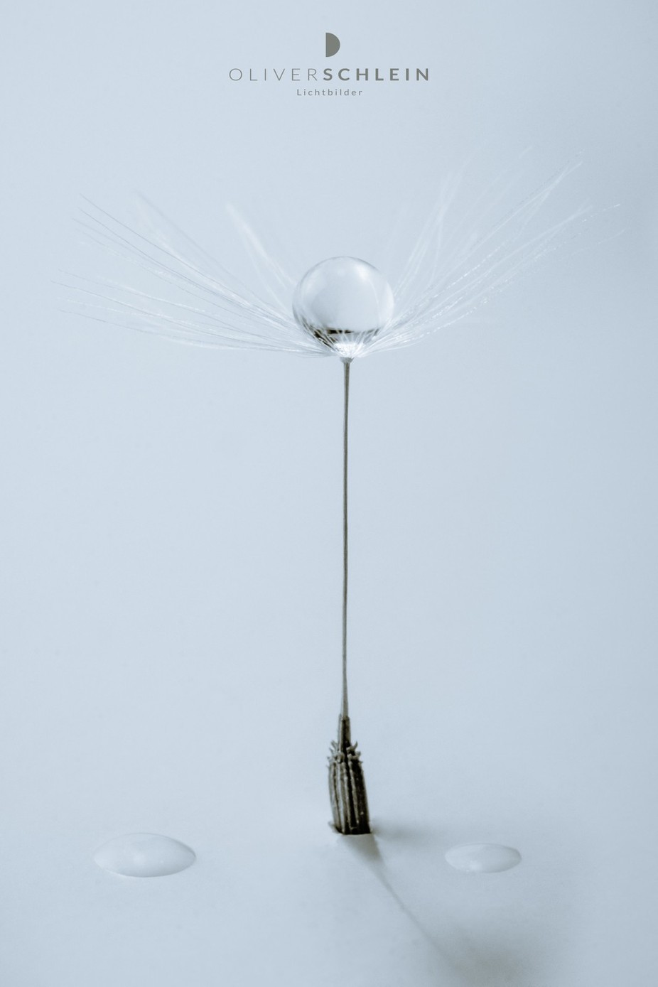 crystal clear mk2  by OliverSchleinLichtbilder - Macro Water Drops Photo Contest