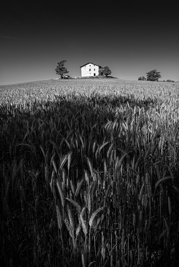 Farm by livioferrari - The Creative Landscape Photo Contest