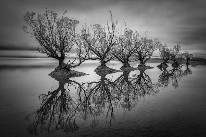 An Inspiring Gallery Of Landscapes In B&W