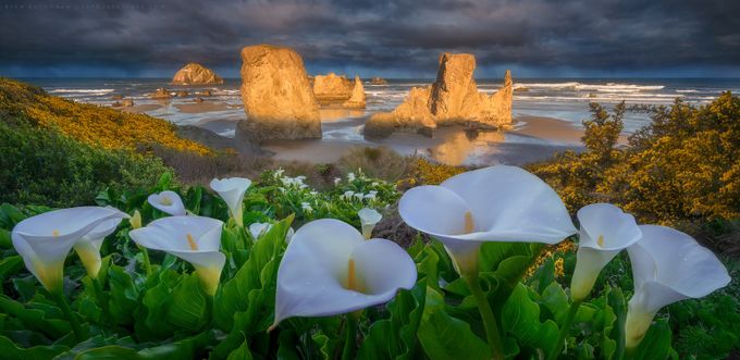 Bandon Beach by ryanbuchanan - Wide Angle Photo Contest Capture Life to The Fullest