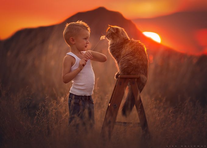 The Best Companions by lisaholloway - Feline Fancy Photo Contest