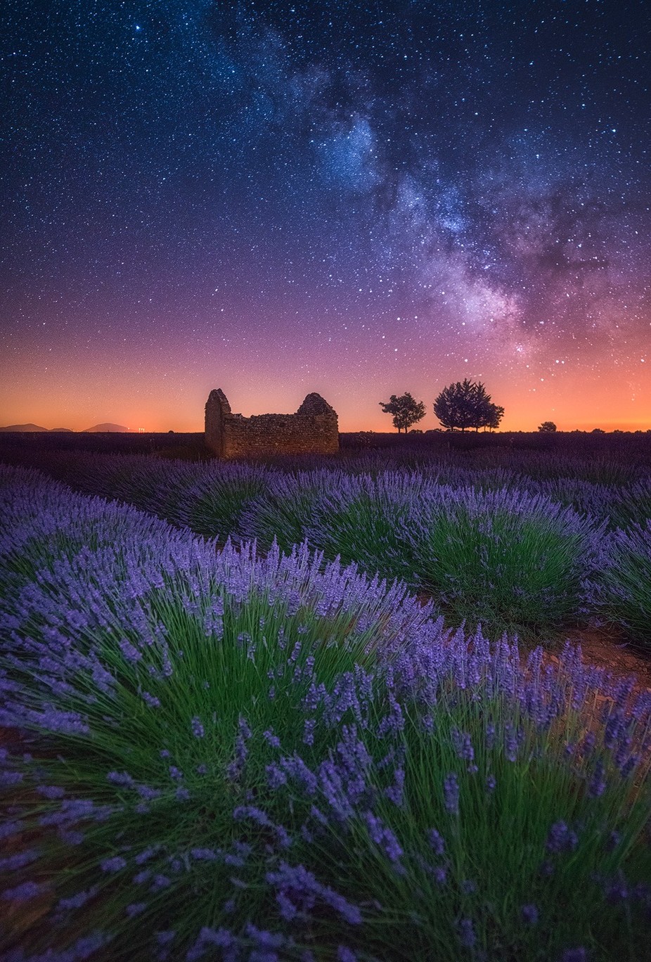 A Lavender Night by albertdros - Nature And The Night Photo Contest