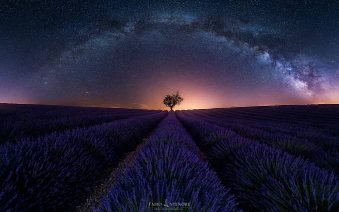 Purple Arch  by Fabio_Antenore - A World Of Purple Photo Contest