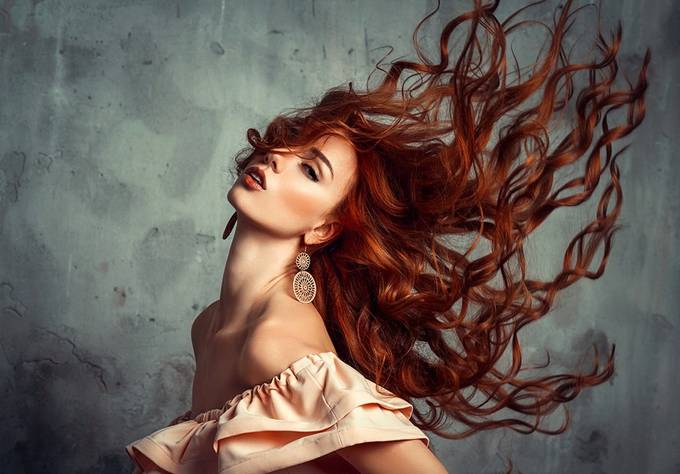 Red Fox | Liliya Nazarova by liliyanazarova - Studio Extravaganza Photo Contest