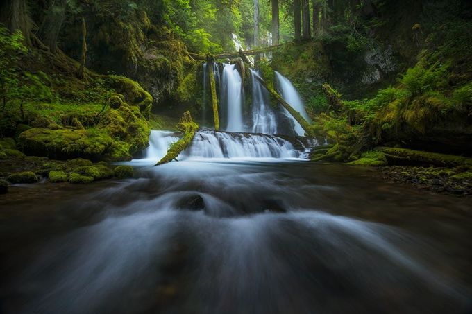 Panther Creek Falls by vandanabajikar - Backcountry Photo Contest