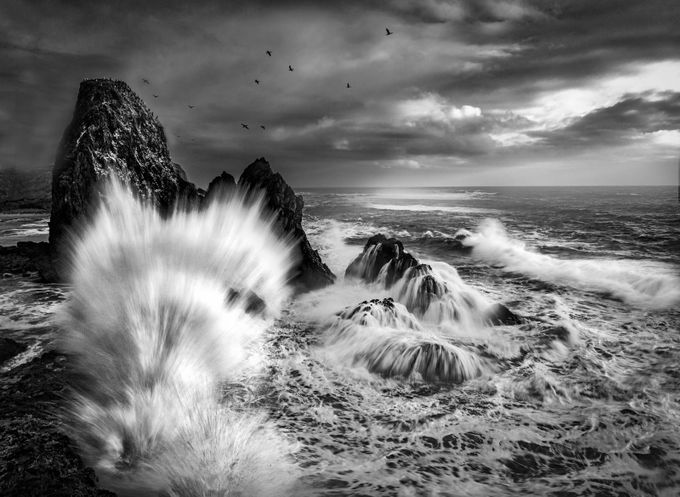 The Perfect Splash by Rivet - Landscapes In Black And White Photo Contest