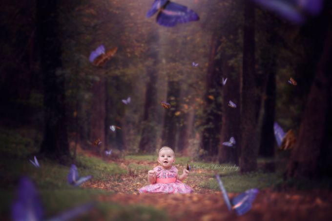 &#039;Butterfly Lane&#039; by CarleyShellyPhotography - A Fantasy World Photo Contest