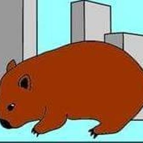 City_Wombat avatar