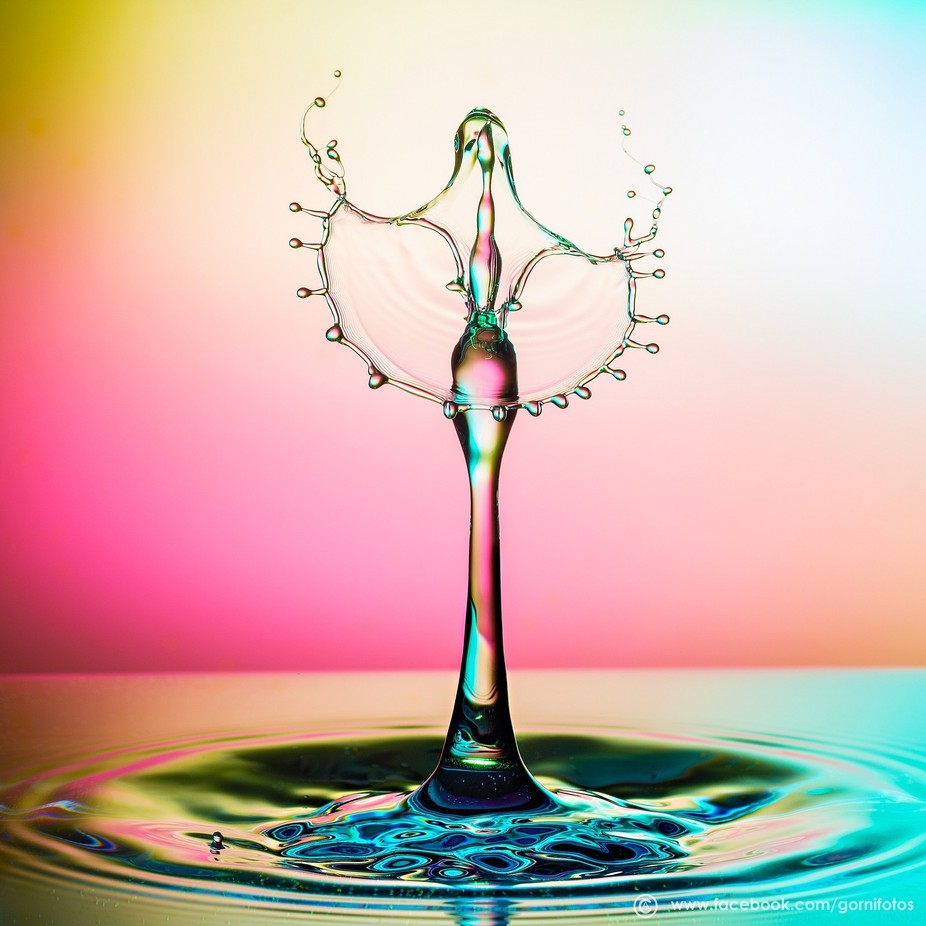 Macro Water Drops Photo Contest Winners