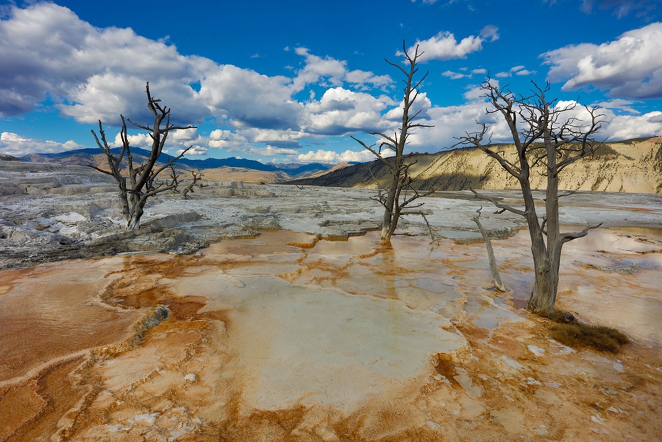 Capture the Beauty of Yellowstone National Park: Rick Sammon