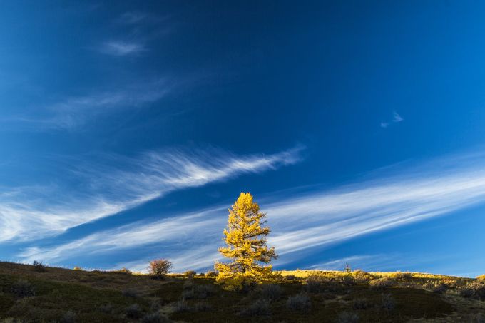 087 by KelsAndrey - Beautiful Blue Sky Photo Contest