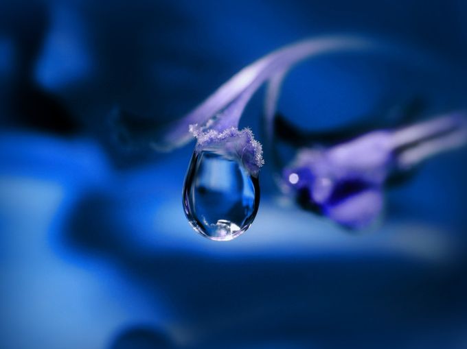Once in a blue Time ... by High-Hopes - Macro Water Drops Photo Contest