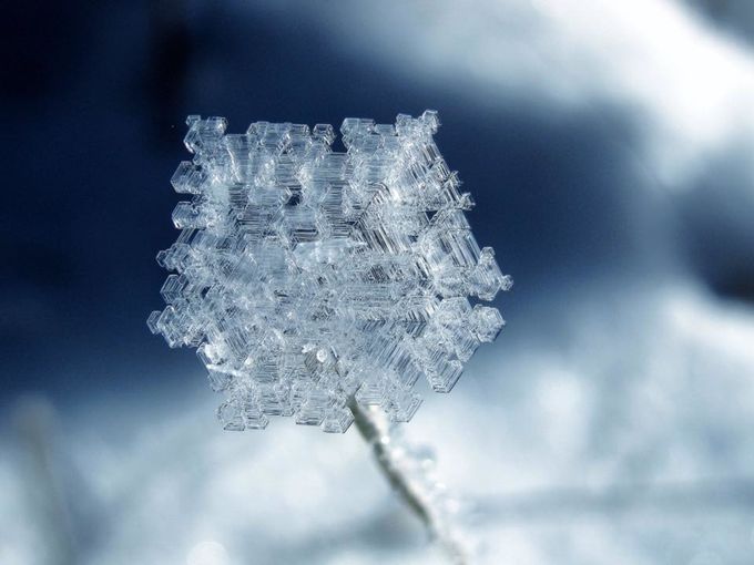 Frost on Grass by HopeBPhotography - Unedited Photo Contest Vol3