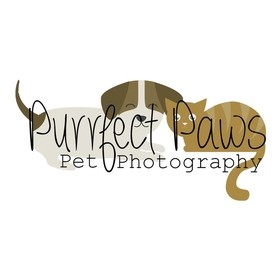 Purrfectpawsphoto avatar
