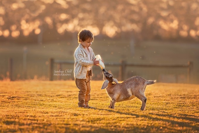 On the Farm  by BrionyWilliams - People And Animals Photo Contest